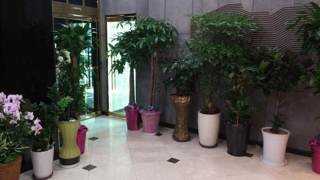 Coop City Hotel Oryu Station Séoul Extérieur photo